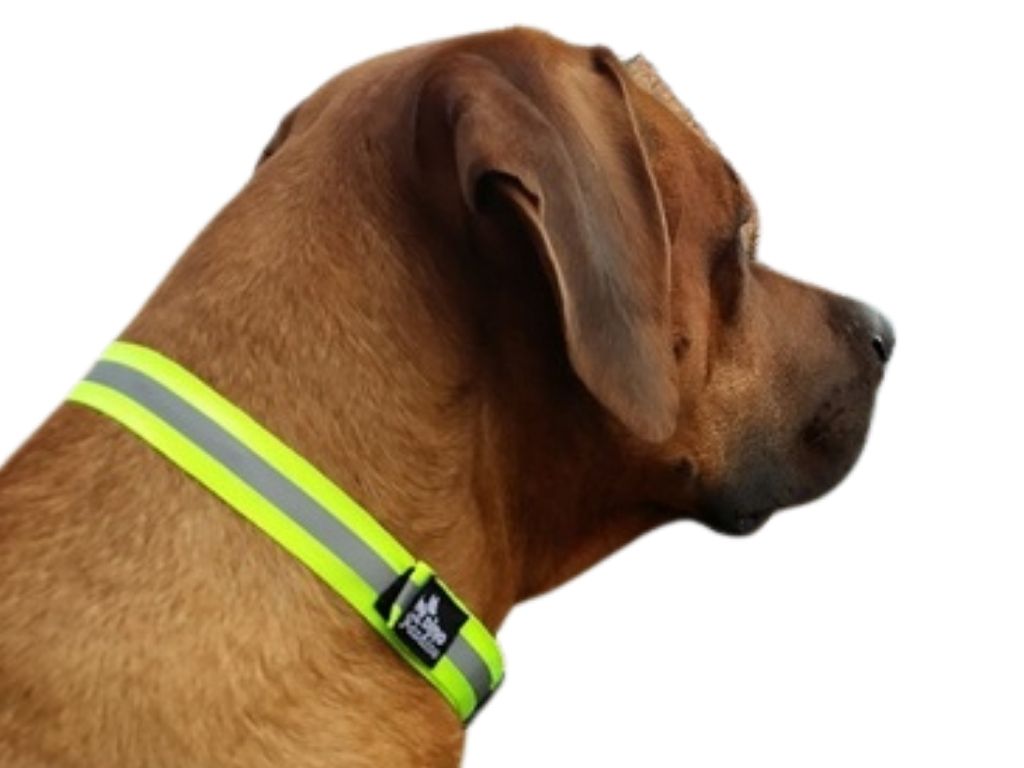 Návrh bez názvu - 2025-12-19T202159.130